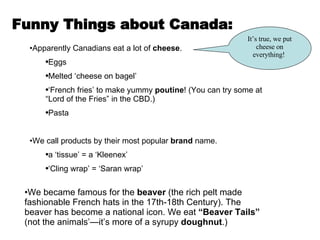Funny Things about Canada: Apparently Canadians eat a lot of  cheese .  Eggs Melted ‘cheese on bagel’  ‘ French fries’ to make yummy  poutine ! (You can try some at “Lord of the Fries” in the CBD.) Pasta We call products by their most popular  brand  name.  a ‘tissue’ = a ‘Kleenex’ ‘ Cling wrap’ = ‘Saran wrap’  It’s true, we put cheese on everything!  We became famous for the  beaver  (the rich pelt made fashionable French hats in the 17th-18th Century). The beaver has become a national icon. We eat  “Beaver Tails”  (not the animals’—it’s more of a syrupy  doughnut .) 