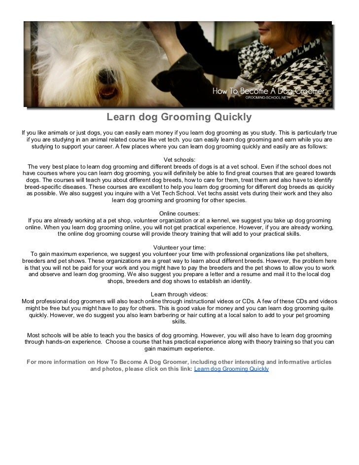 dog grooming places