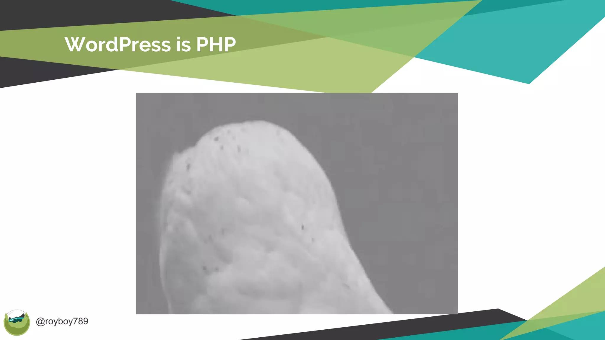 @royboy789
WordPress is PHP
 