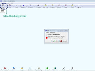 Learn how to draw a phylogenetic tree by mega software | PPTX