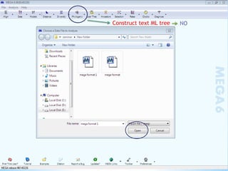 Learn how to draw a phylogenetic tree by mega software | PPTX