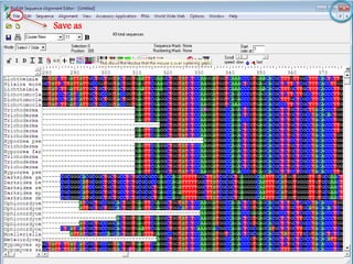 Learn how to draw a phylogenetic tree by mega software | PPTX