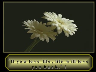 "If you love life, life will love you back."   ! 