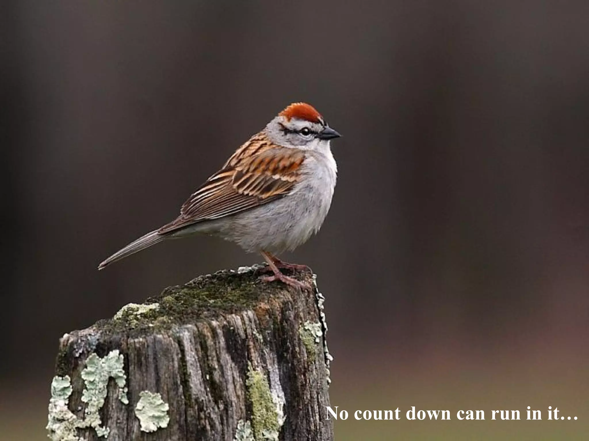 Love is so optimistic…   No count down can run in it… 