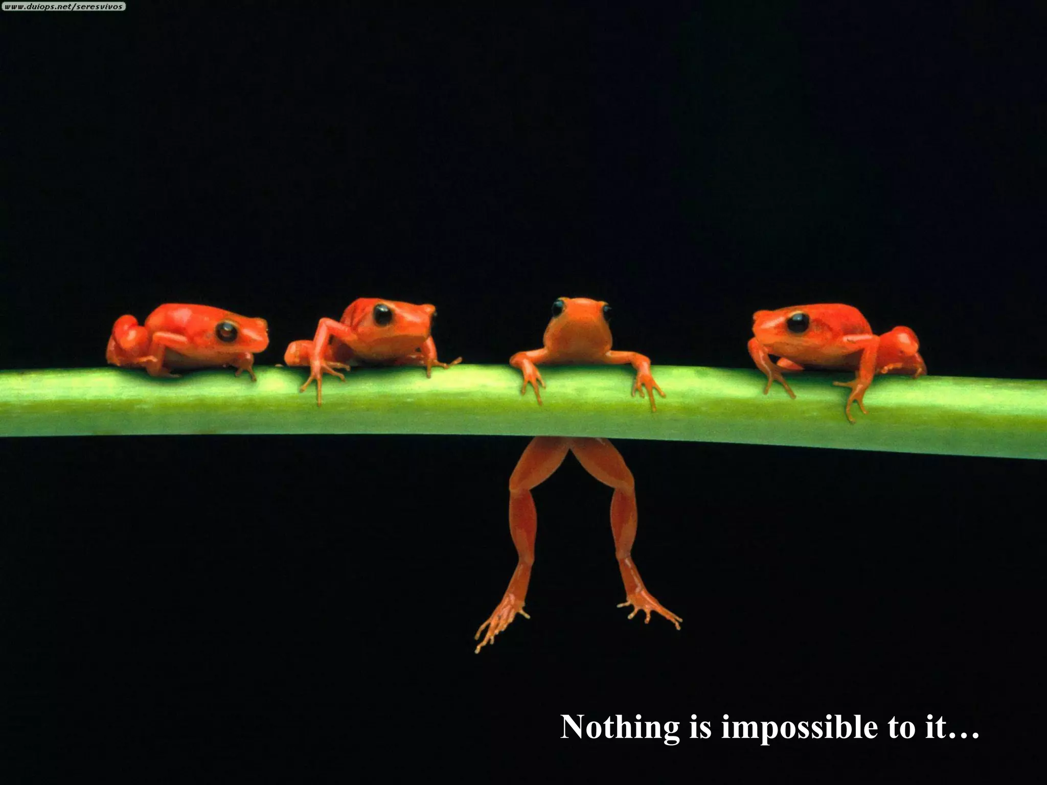 Love is so adventurous… Nothing is impossible to it… 