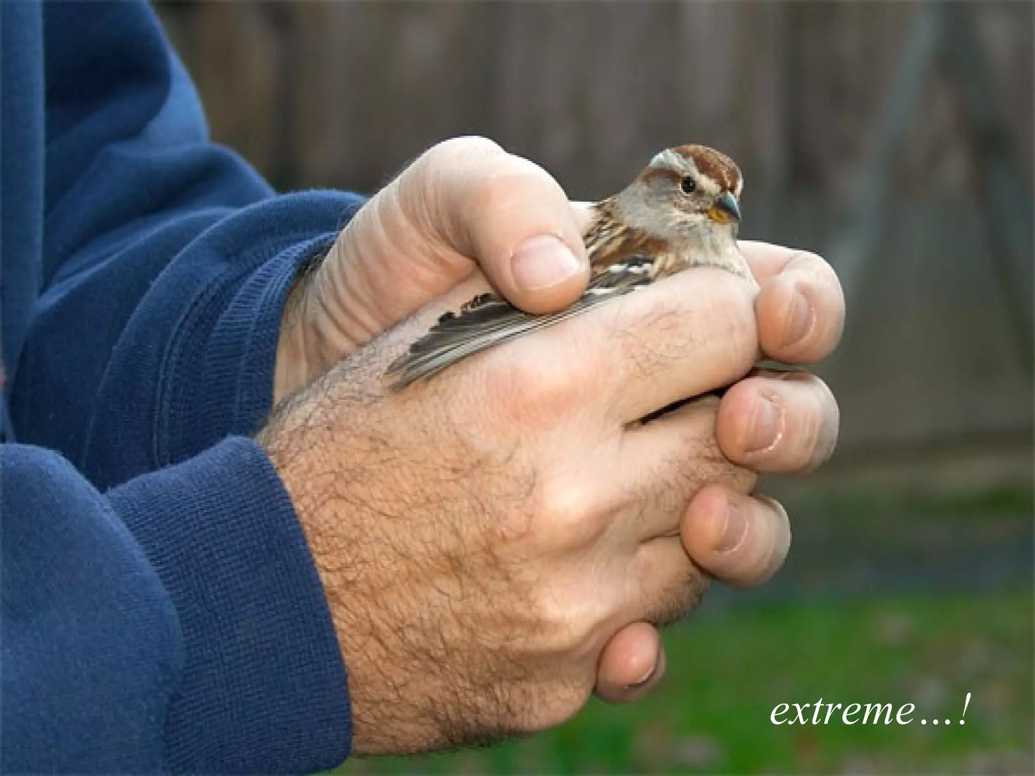 Love is not something… extreme…! 