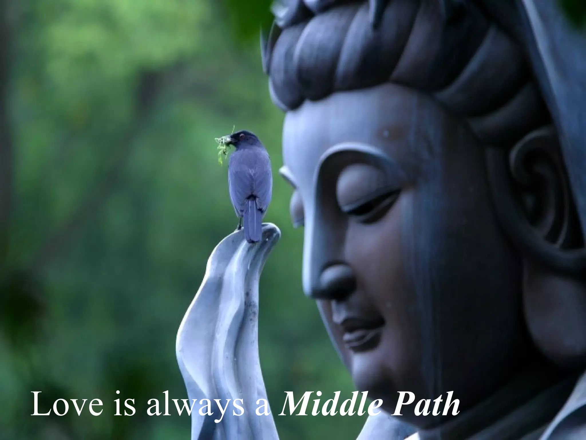 Love is always a  Middle Path 