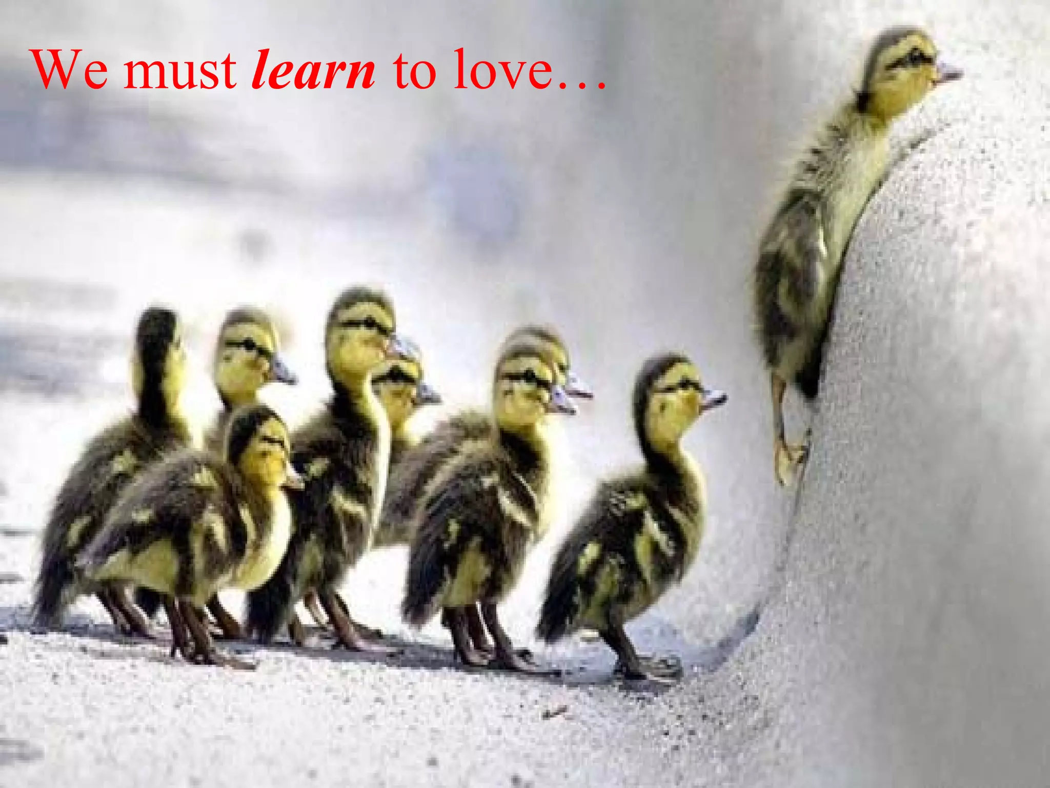 We must   learn   to love… 