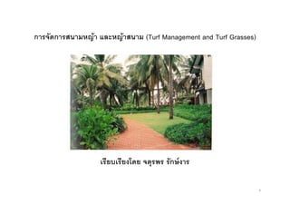 การจัดการสนามหญา และหญาสนาม (Turf Management and Turf Grasses)
เรียบเรียงโดย จตุรพร รักษงาร
1
 
