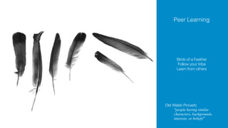 Peer Learning
Birds of a Feather
Follow your tribe
Learn from others
Old Welsh Proverb
"people having similar
characters, backgrounds,
interests, or beliefs"
 