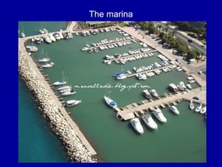 The marina
 