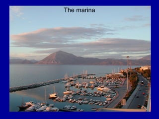 The marina
 