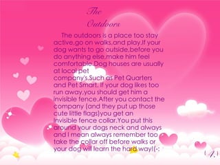 4.
The outdoors is a place too stay
active,go on walks,and play.If your
dog wants to go outside,before you
do anything else,make him feel
comfortable.Dog houses are usually
at local pet
company's.Such as Pet Quarters
and Pet Smart. If your dog likes too
run away,you should get him a
invisible fence.After you contact the
company (and they put up those
cute little flags)you get an
Invisible fence collar.You put this
around your dogs neck and always
and I mean always remember too
take the collar off before walks or
your dog will learn the hard way!(-:
The
Outdoors
G
G
 
