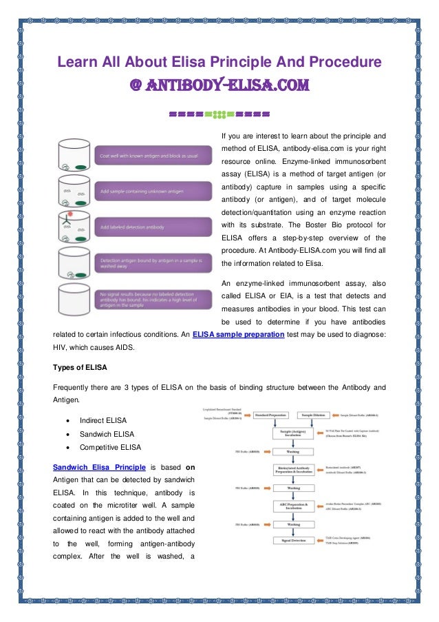Learn All About Elisa Principle And Procedure