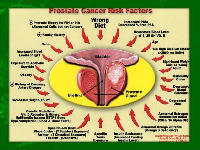 Learn All About Prostate Health