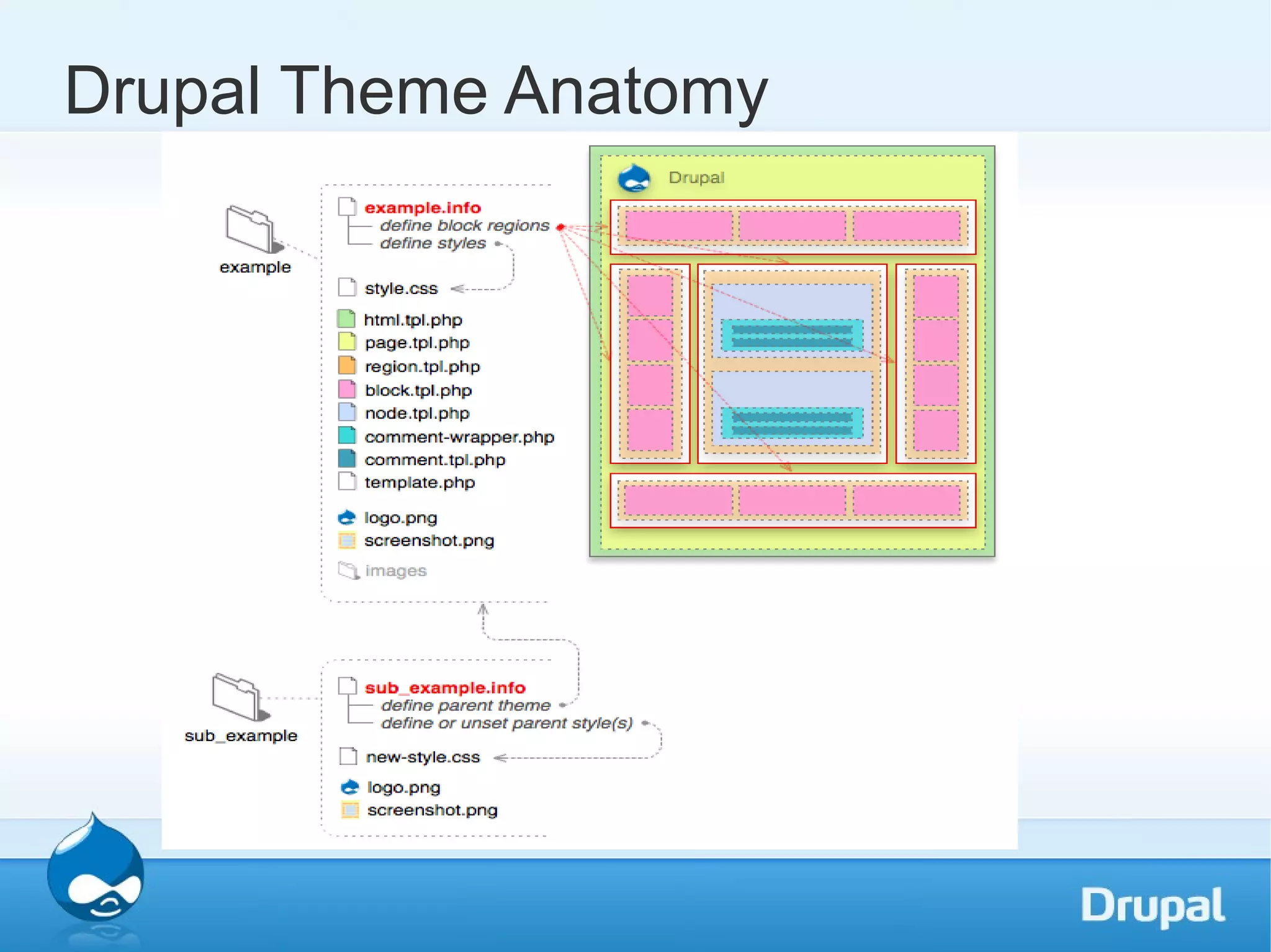 Drupal Theme Anatomy 