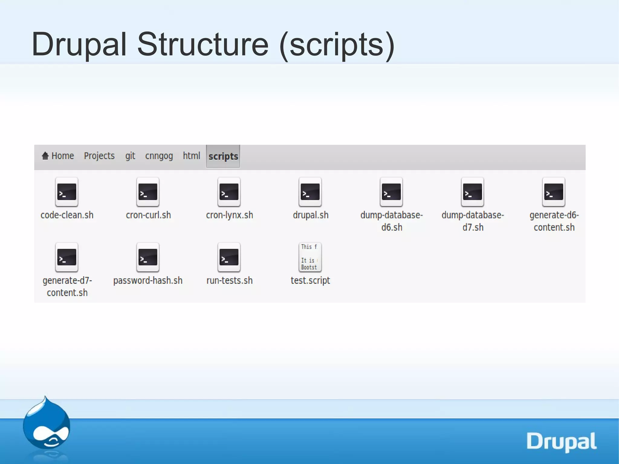 Drupal Structure (scripts) 