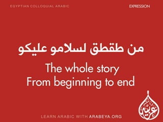 Learn Daily and New Common Egyptian Colloquial Arabic Expressions with Arabeya