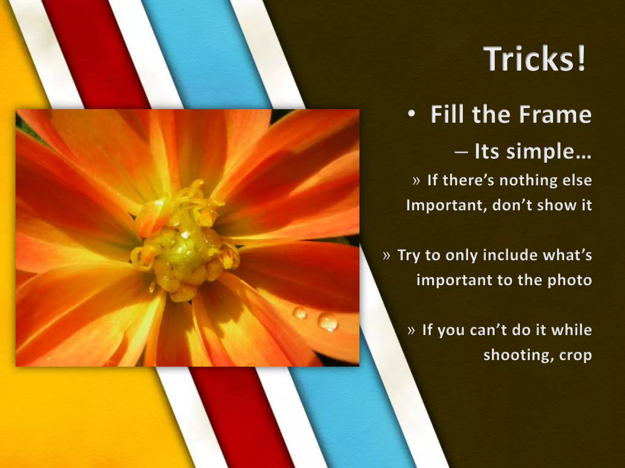 Tricks!Fill the FrameIts simple…If there’s nothing elseImportant, don’t show itTry to only include what’s important to the photoIf you can’t do it while shooting, crop 
