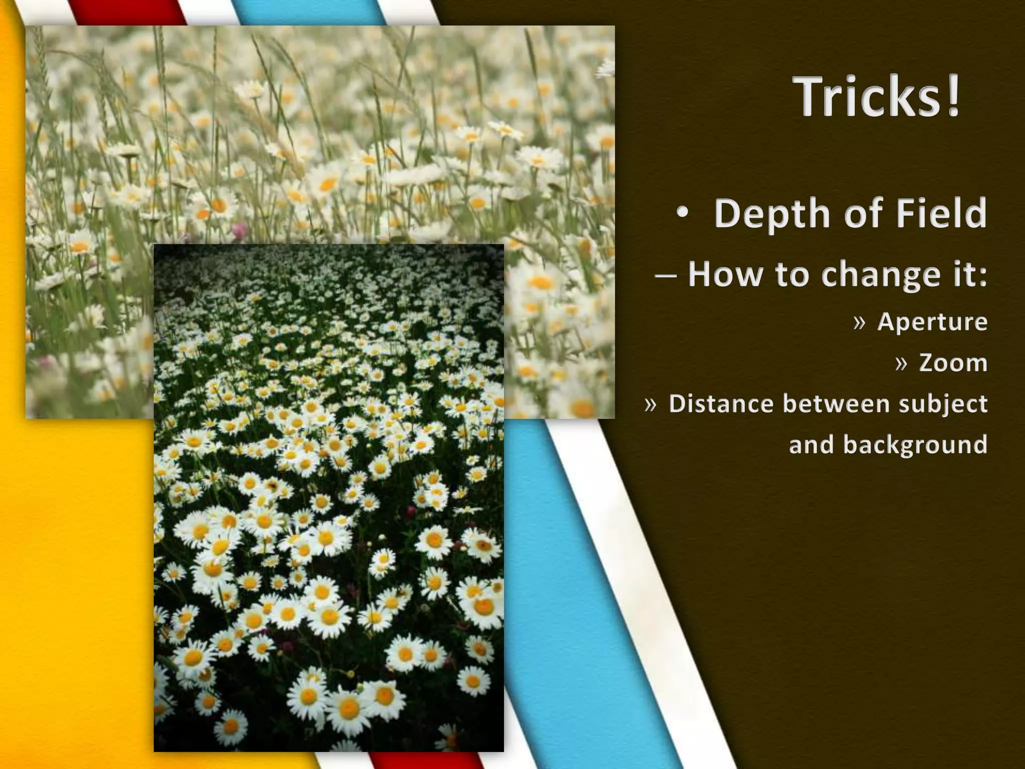 Tricks!Depth of FieldHow to change it:ApertureZoomDistance between subject and background