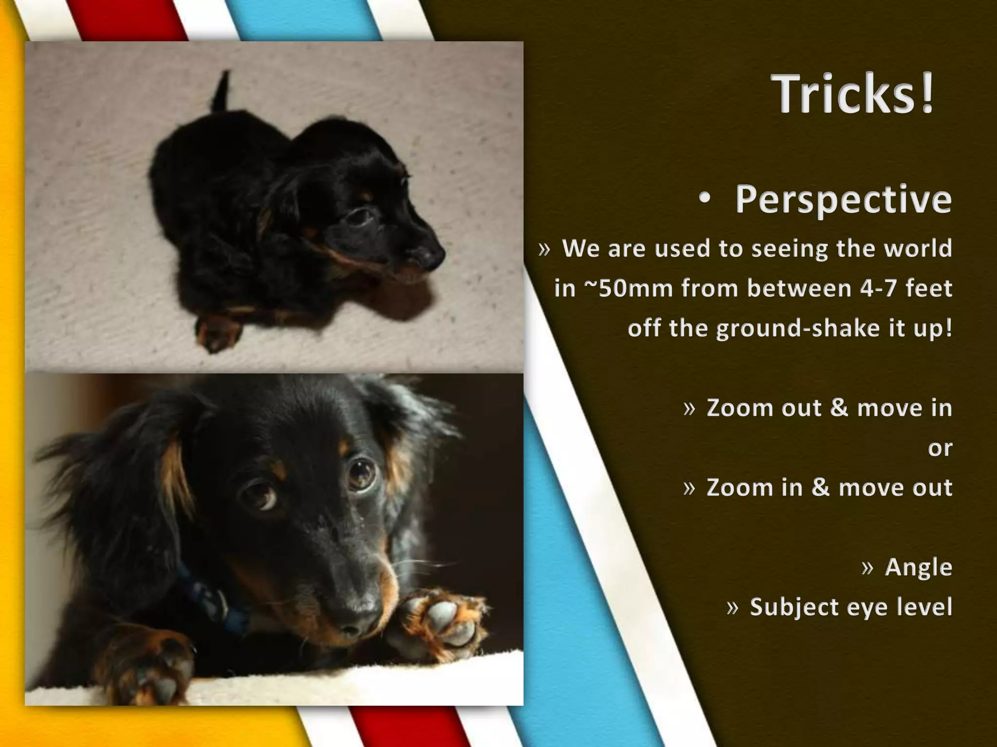 Tricks!PerspectiveWe are used to seeing the world in ~50mm from between 4-7 feet off the ground-shake it up!Zoom out & move inorZoom in & move outAngleSubject eye level