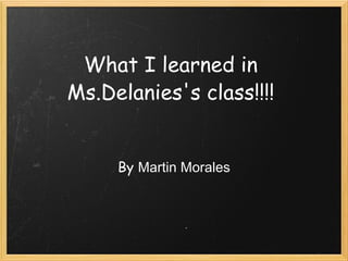 What I learned in Ms.Delanies's class!!!! By  Martin Morales 