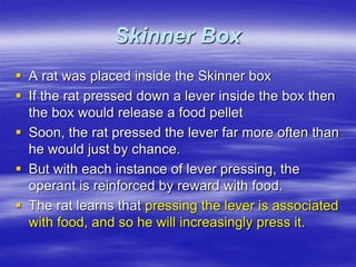 Skinner Box
 A rat was placed inside the Skinner box
 If the rat pressed down a lever inside the box then
the box would release a food pellet
 Soon, the rat pressed the lever far more often than
he would just by chance.
 But with each instance of lever pressing, the
operant is reinforced by reward with food.
 The rat learns that pressing the lever is associated
with food, and so he will increasingly press it.
 