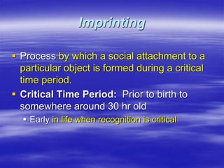Imprinting
 Process by which a social attachment to a
particular object is formed during a critical
time period.
 Critical Time Period: Prior to birth to
somewhere around 30 hr old
 Early in life when recognition is critical
 