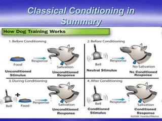 Classical Conditioning in
Summary
 