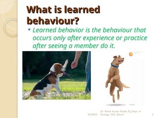 Learned Behaviour Image Learned Behaviour BY Dr Ritesh K. Shukla.ppt