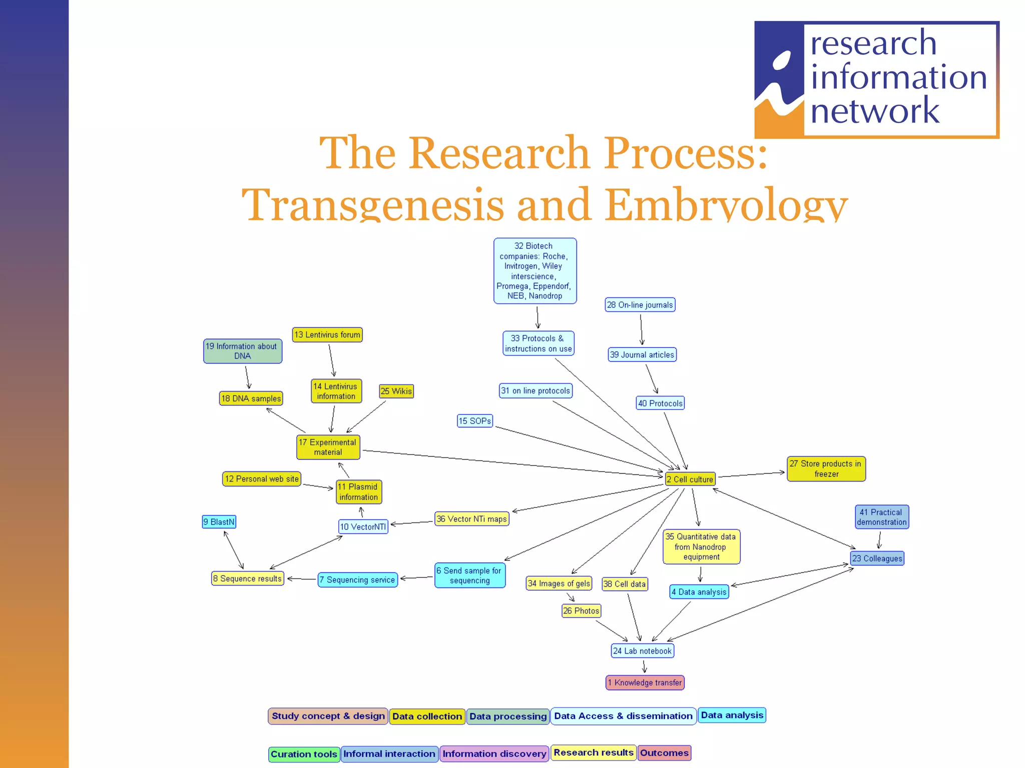 The Research Process: Transgenesis and Embryology 