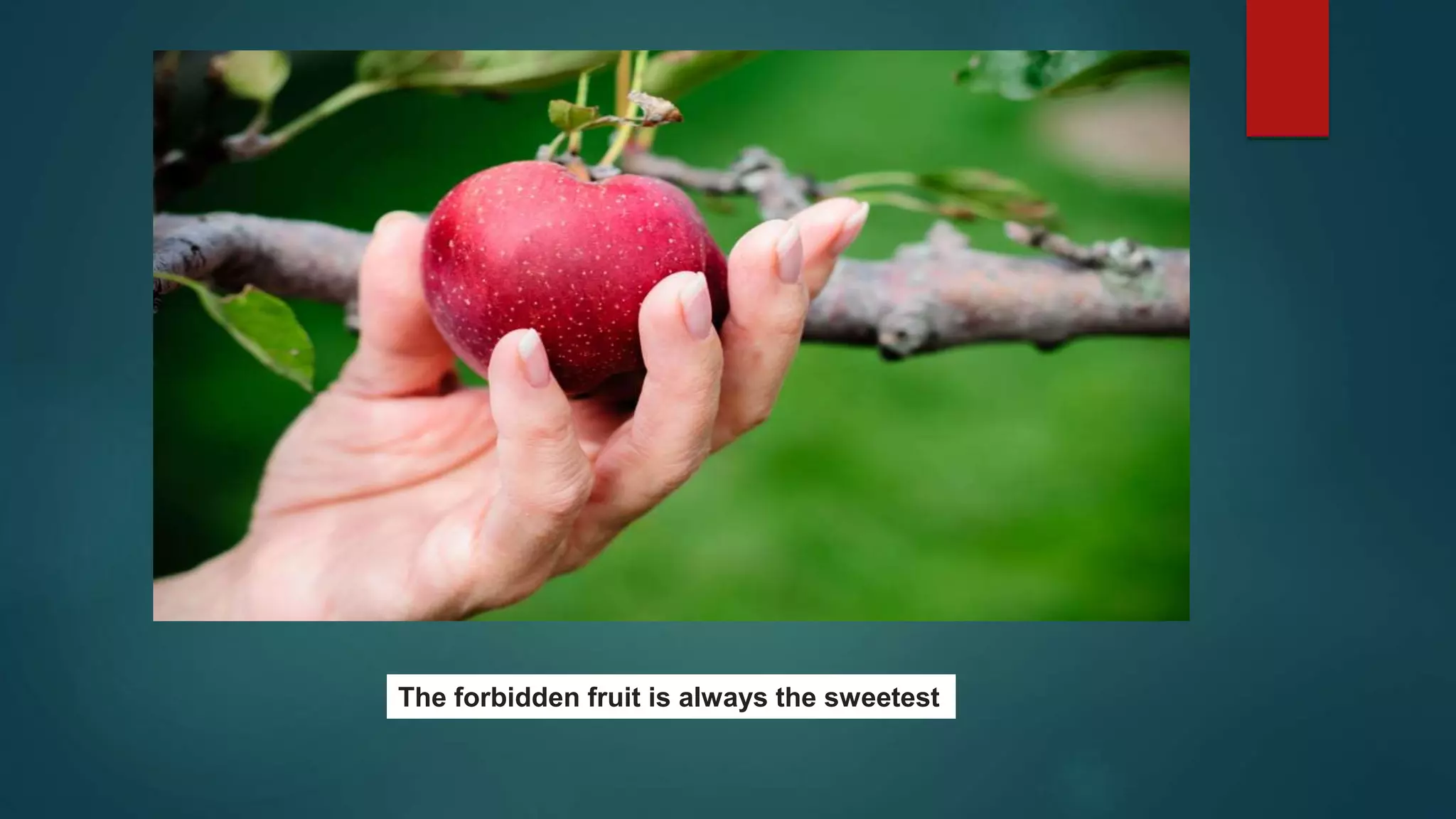 The forbidden fruit is always the sweetest
 