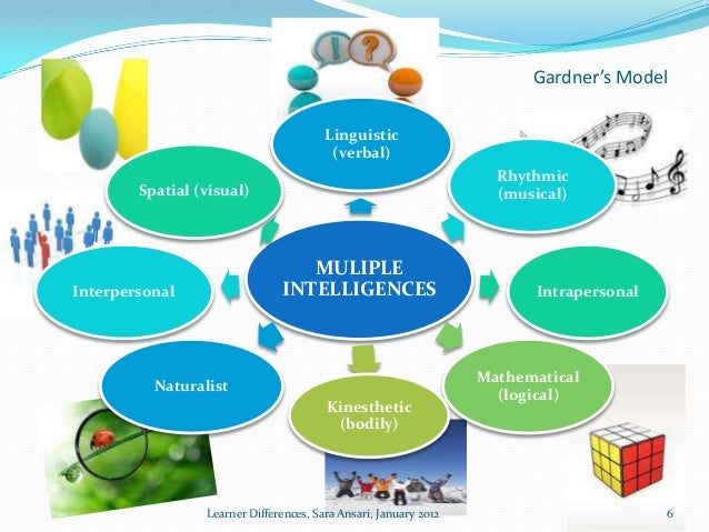 Learner Differences