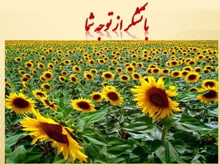 با تشکر از توجه شما 
