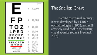 The Snellen Chart
used to test visual acquity.
It was developed by a Dutch
opthalmologist in 1962, and still
a widely used tool in measuring
visual acquity today ( Heward,
2017).
 