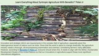 Learn Everything About Syntropic Agriculture With Benedict T Palen Jr
Innovation and strategic reform are requirements in the complex field of agriculture, especially given the
heterogeneous terrain of nations such as India. Given that the world is about to change drastically, the agriculture
industry needs a thorough, all-encompassing examination and overhaul, considering farmers’ many difficulties.
However, according to Benedict T Palen Jr, everyone should share this. It needs to align with the SDGs ( Sustainable
Development Goals) of the United Nations so that our innovations in agriculture support these more significant
international obligations.
 