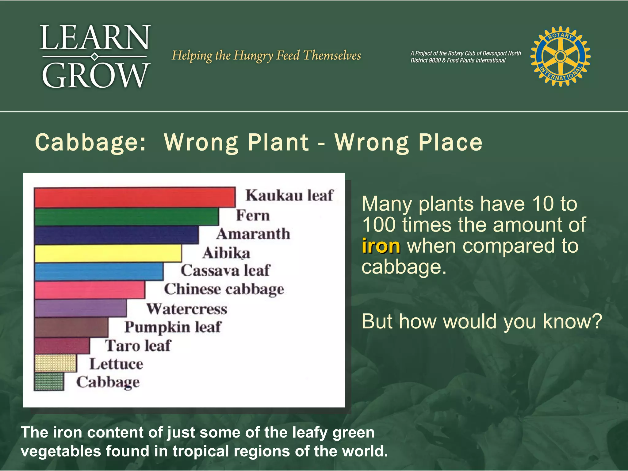 Cabbage: Wrong Plant - Wrong Place

                                              Many plants have 10 to
                                              100 times the amount of
                                              iron when compared to
                                              cabbage.

                                              But how would you know?




The iron content of just some of the leafy green
vegetables found in tropical regions of the world.
 
