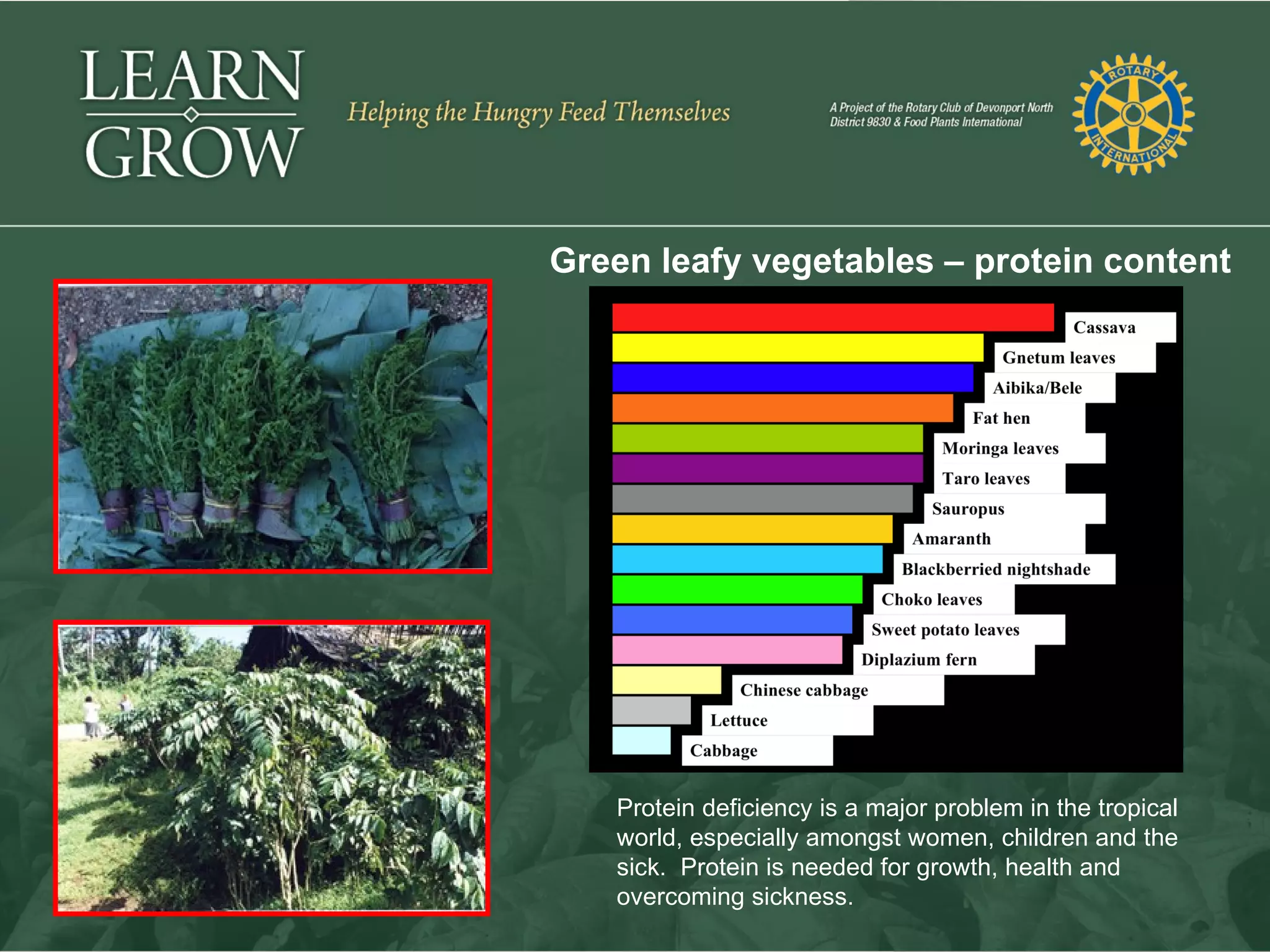 Learn ♦ Grow

        Green leafy vegetables – protein content




           Protein deficiency is a major problem in the tropical
           world, especially amongst women, children and the
           sick. Protein is needed for growth, health and
           overcoming sickness.
 