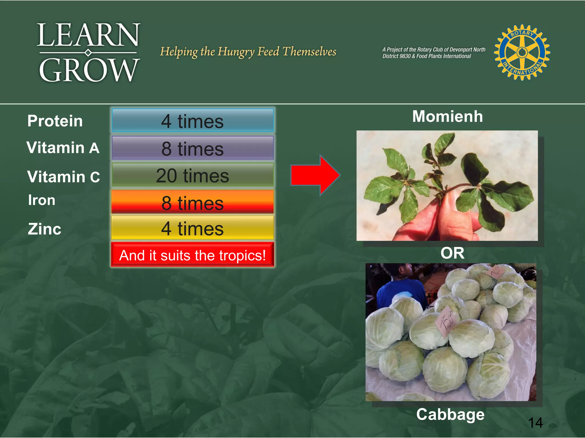 Protein           4 times               Momienh
Vitamin A         8 times
Vitamin C         20 times
Iron              8 times
Zinc              4 times
            And it suits the tropics!     OR




                                        Cabbage   14
 