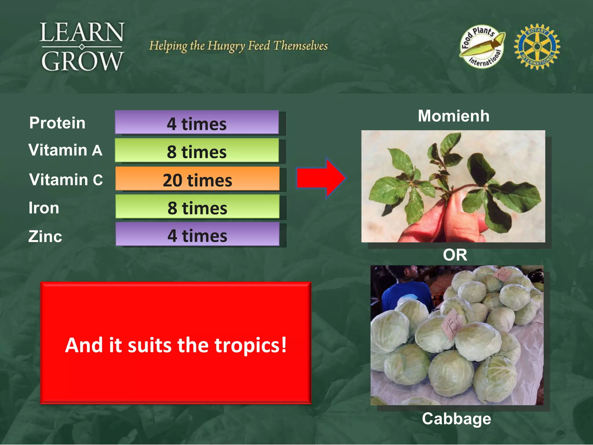 4 times Protein 8 times Vitamin   A 20   times Vitamin   C 8 times Iron 4 times Zinc Cabbage Momienh OR And it suits the tropics! 