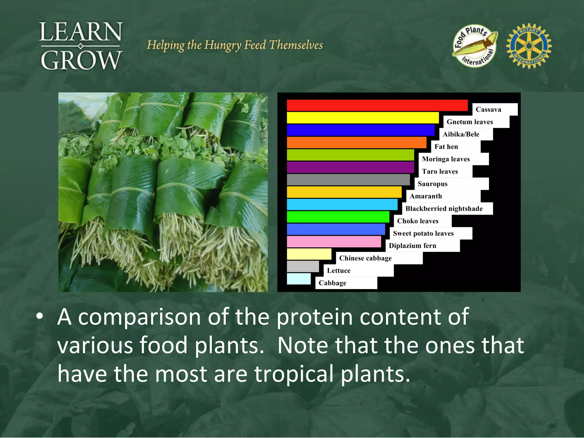 A comparison of the protein content of various food plants.  Note that the ones that have the most are tropical plants. 