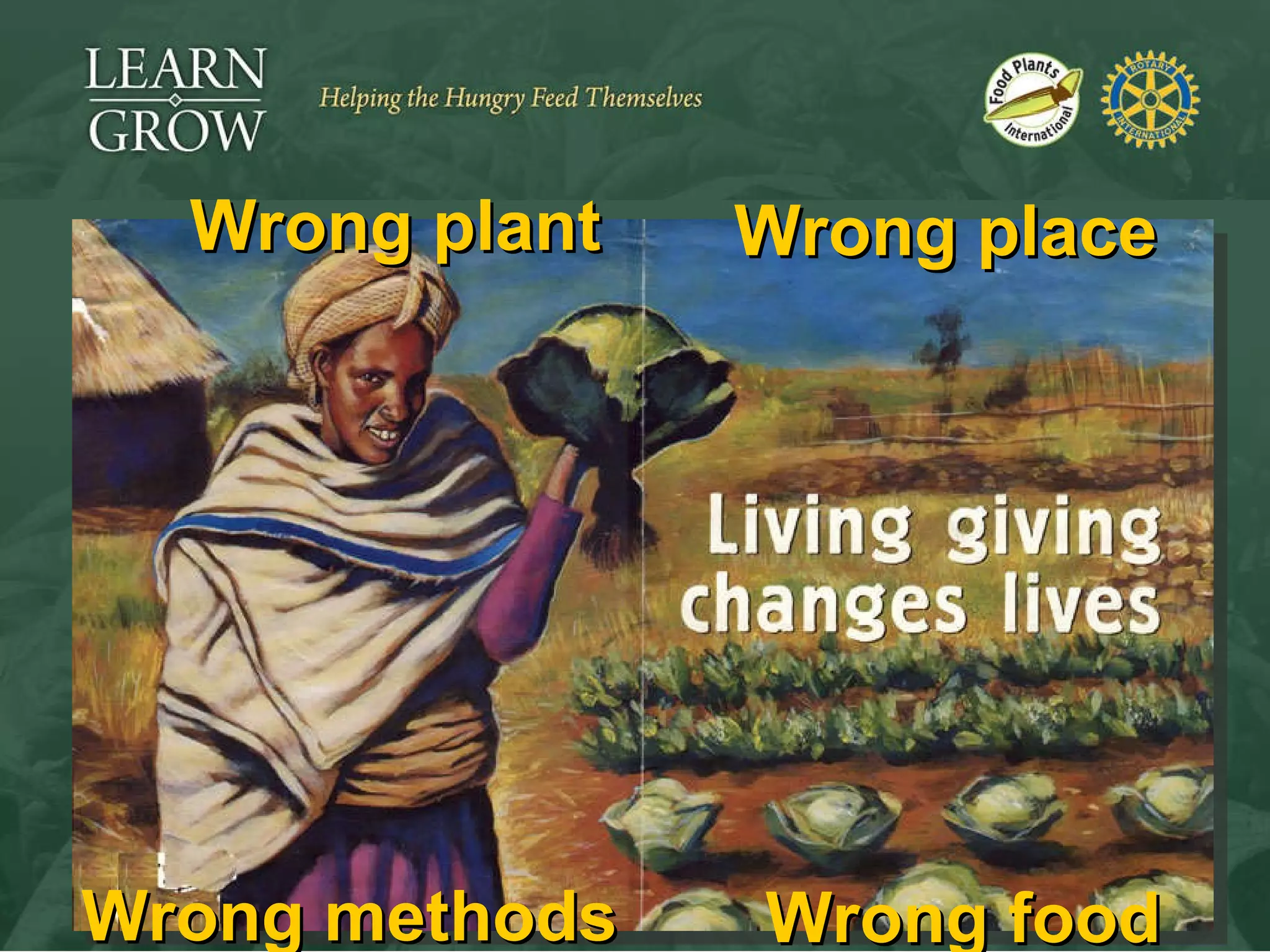 Wrong plant Wrong place Wrong methods Wrong food 