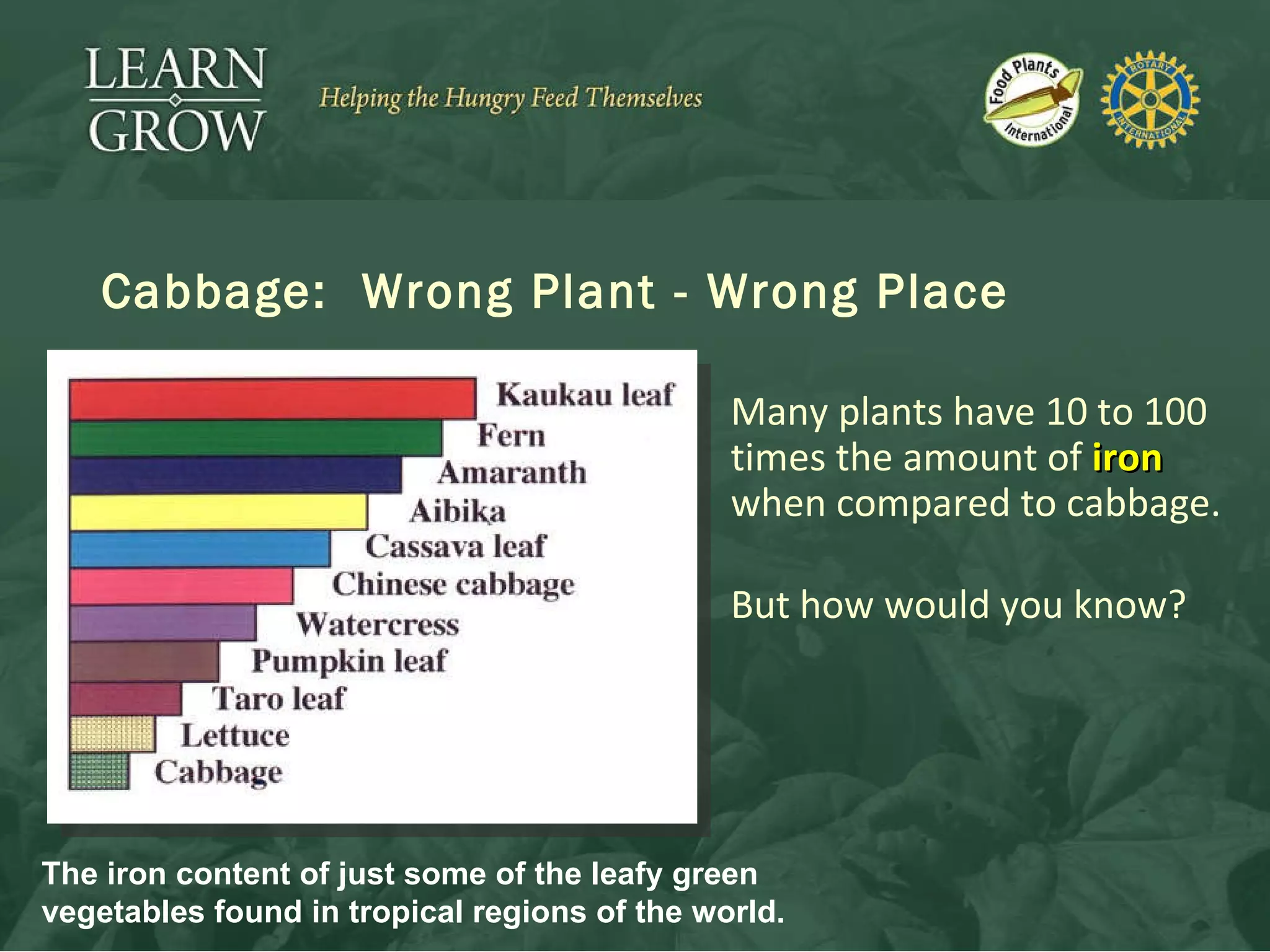 Cabbage:  Wrong Plant - Wrong Place Many plants have 10 to 100 times the amount of  iron  when compared to cabbage. But how would you know? The iron content of just some of the leafy green vegetables found in tropical regions of the world. 