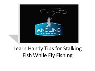 Learn Handy Tips for Stalking
   Fish While Fly Fishing
 
