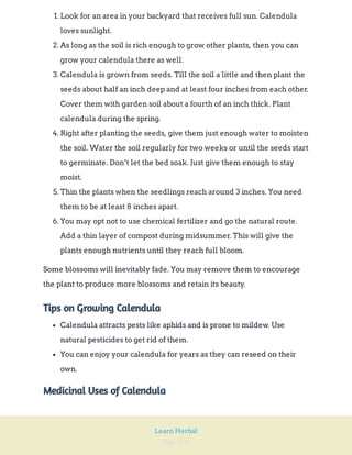 Page 100
Learn Herbal
1. Look for an area in your backyard that receives full sun. Calendula
loves sunlight.
2. As long as the soil is rich enough to grow other plants, then you can
grow your calendula there as well.
3. Calendula is grown from seeds. Till the soil a little and then plant the
seeds about half an inch deep and at least four inches from each other.
Cover them with garden soil about a fourth of an inch thick. Plant
calendula during the spring.
4. Right after planting the seeds, give them just enough water to moisten
the soil. Water the soil regularly for two weeks or until the seeds start
to germinate. Don’t let the bed soak. Just give them enough to stay
moist.
5. Thin the plants when the seedlings reach around 3 inches. You need
them to be at least 8 inches apart.
6. You may opt not to use chemical fertilizer and go the natural route.
Add a thin layer of compost during midsummer. This will give the
plants enough nutrients until they reach full bloom.
Some blossoms will inevitably fade. You may remove them to encourage
the plant to produce more blossoms and retain its beauty.
Tips on Growing Calendula
Calendula attracts pests like aphids and is prone to mildew. Use
natural pesticides to get rid of them.
You can enjoy your calendula for years as they can reseed on their
own.
Medicinal Uses of Calendula
 