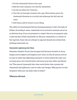 Page 112
Learn Herbal
1. Put the chamomile flowers into a pot.
2. Boil the water and pour it in with the chamomile.
3. Let the tea infuse for 3 minutes.
4. Pour the tea through a strainer into cups. Alternatively, place the
chamomile blossoms in a tea ball and submerge the ball into hot
water.
5. Add honey and/or lemon to your liking.
The safety of consuming herbal teas during pregnancy is still a hot topic of
debate. According to some, chamomile tea in excessive amounts can act as
an abortion drug. If you are pregnant or suspect that you are pregnant, play
it safe and don’t drink chamomile tea. Because chamomile is a relative of
the ragweed, those who are allergic to ragweed should also refrain from
drinking chamomile tea.
Chamomile Lightening Hair Rinse
Attention, blondes! If your hair has gone dull because of winter or if you
simply want to lighten and brighten your locks, try this all-natural and oh-
so-easy-to-make hair lightening treatment. It works almost the same way
as lemon juice, but it smells better and leaves your hair softer and thicker
too! This natural chamomile hair rinse works better than commercial
chamomile hair lighteners, and are safer and cheaper. Why pay for it at the
drugstore when you can make some at home?
What you will need:
 