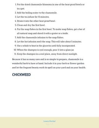 Page 115
Learn Herbal
1. Put the dried chamomile blossoms in one of the heat-proof bowls or
in a pot.
2. Add the boiling water to the chamomile.
3. Let the tea infuse for 15 minutes.
4. Strain it into the other heat-proof bowl.
5. Clean and dry the first bowl.
6. Put the soap flakes in the first bowl. To make soap flakes, get a bar of
all-natural soap and shred it with a grater or a knife.
7. Add the chamomile infusion to the soap flakes.
8. Let the hot infusion melt the soap. This will take about 5 minutes.
9. Use a whisk to beat in the glycerin until fully incorporated.
10. When the shampoo is cool enough, pour it into a glass jar.
11. Keep the shampoo in a cool place, away from direct sunlight.
Because it has so many uses and is so simple to prepare, chamomile is a
wonderful herb to have at hand. Include it in your herb or flower garden
and let the fragrant beauty work its spell on your yard and on your health.
CHICKWEED
 