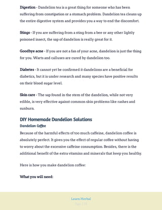 Page 128
Learn Herbal
- Dandelion tea is a great thing for someone who has been
suffering from constipation or a stomach problem. Dandelion tea cleans up
the entire digestive system and provides you a way to end the discomfort.
Digestion
- If you are suffering from a sting from a bee or any other lightly
poisoned insect, the sap of dandelion is really great for it.
Stings
- If you are not a fan of your acne, dandelion is just the thing
for you. Warts and calluses are cured by dandelion too.
Goodbye acne
- It cannot yet be confirmed it dandelions are a beneficial for
diabetics, but it is under research and many species have positive results
on their blood sugar level.
Diabetes
- The sap found in the stem of the dandelion, while not very
edible, is very effective against common skin problems like rashes and
sunburn.
Skin care
DIY Homemade Dandelion Solutions
Dandelion Coffee
Because of the harmful effects of too much caffeine, dandelion coffee is
absolutely perfect. It gives you the effect of regular coffee without having
to worry about the excessive caffeine consumption. Besides, there is the
additional benefit of the extra vitamins and minerals that keep you healthy.
Here is how you make dandelion coffee:
What you will need:
 