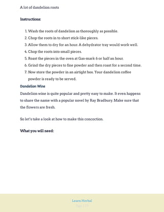Page 129
Learn Herbal
A lot of dandelion roots
Instructions:
1. Wash the roots of dandelion as thoroughly as possible.
2. Chop the roots in to short stick-like pieces.
3. Allow them to dry for an hour. A dehydrator tray would work well.
4. Chop the roots into small pieces.
5. Roast the pieces in the oven at Gas-mark 6 or half an hour.
6. Grind the dry pieces to fine powder and then roast for a second time.
7. Now store the powder in an airtight box. Your dandelion coffee
powder is ready to be served.
Dandelion Wine
Dandelion wine is quite popular and pretty easy to make. It even happens
to share the name with a popular novel by Ray Bradbury. Make sure that
the flowers are fresh.
So let’s take a look at how to make this concoction.
What you will need:
 
