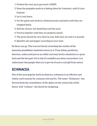 Page 132
Learn Herbal
1. Preheat the oven up to gas mark 4 (350F)
2. Roast the pumpkin seeds in a baking sheet for 5 minutes, until it’s just
fragrant.
3. Let it cool down.
4. Put the garlic and seeds in a food processor and pulse until they are
chopped finely.
5. Add the cheese, the dandelions and the juice.
6. Process together until they are properly mixed.
7. The pesto should be very thick by now. Add olive oil until it is smooth.
8. Sprinkle salt and pepper according to your taste.
So there you go. That was just barely scratching the surface of the
immense possibilities dandelion stores in it. From kidney problems,
diarrhea, rashes and (just as an edible and tasty herb) a dandelion is a great
herb and the best part of it is that it's available just about everywhere. It is
unfortunate that people often try to get rid of such a cool gift from nature.
ECHINACEA
One of the most popular herbs in America, echinacea is an effective and
widely used remedy for common cold and flu. The name “Echinacea” was
derived from the resemblance of the spikes on the central disc of the
flower with “echinos”, the Greek for hedgehog.
 